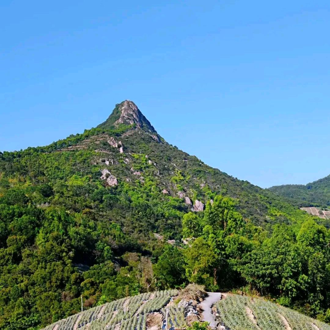 山深不知处