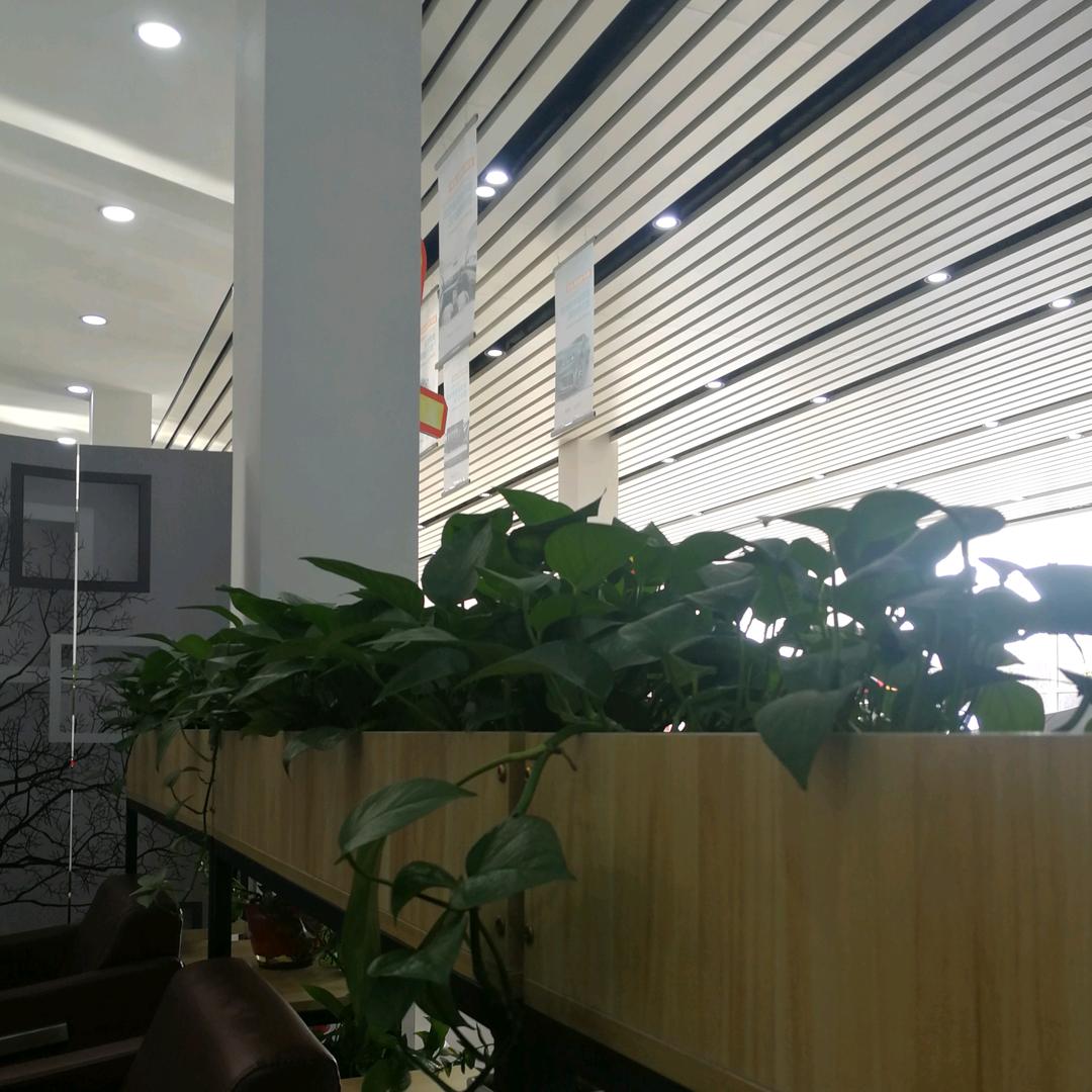 手机用户62275087448