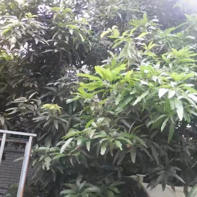 面子是自己挣出来的