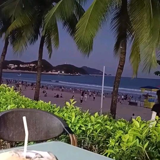 别扰乱我心