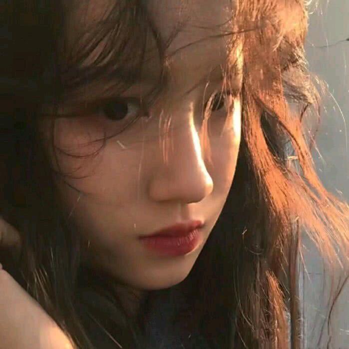 🌈🌈向日葵喜欢太阳花