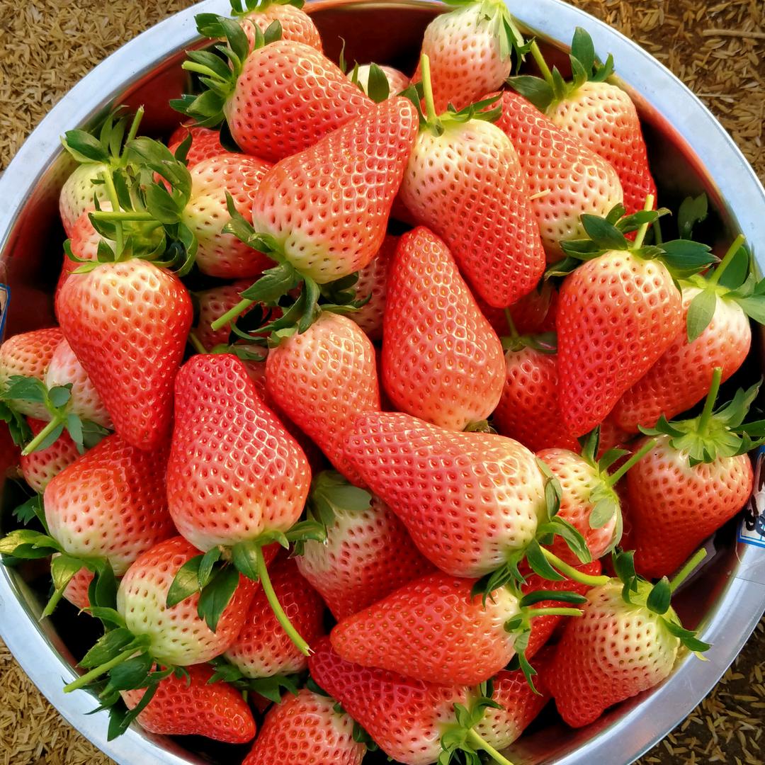 🔆简单(*•̀ᴗ•́*)و ̑̑就好?