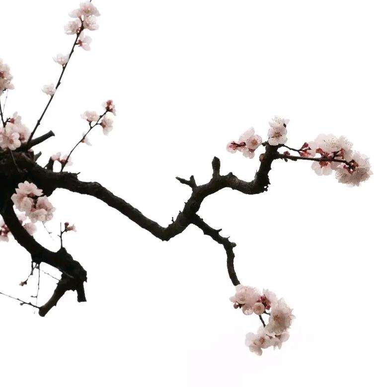 秦岭终南山耿峪