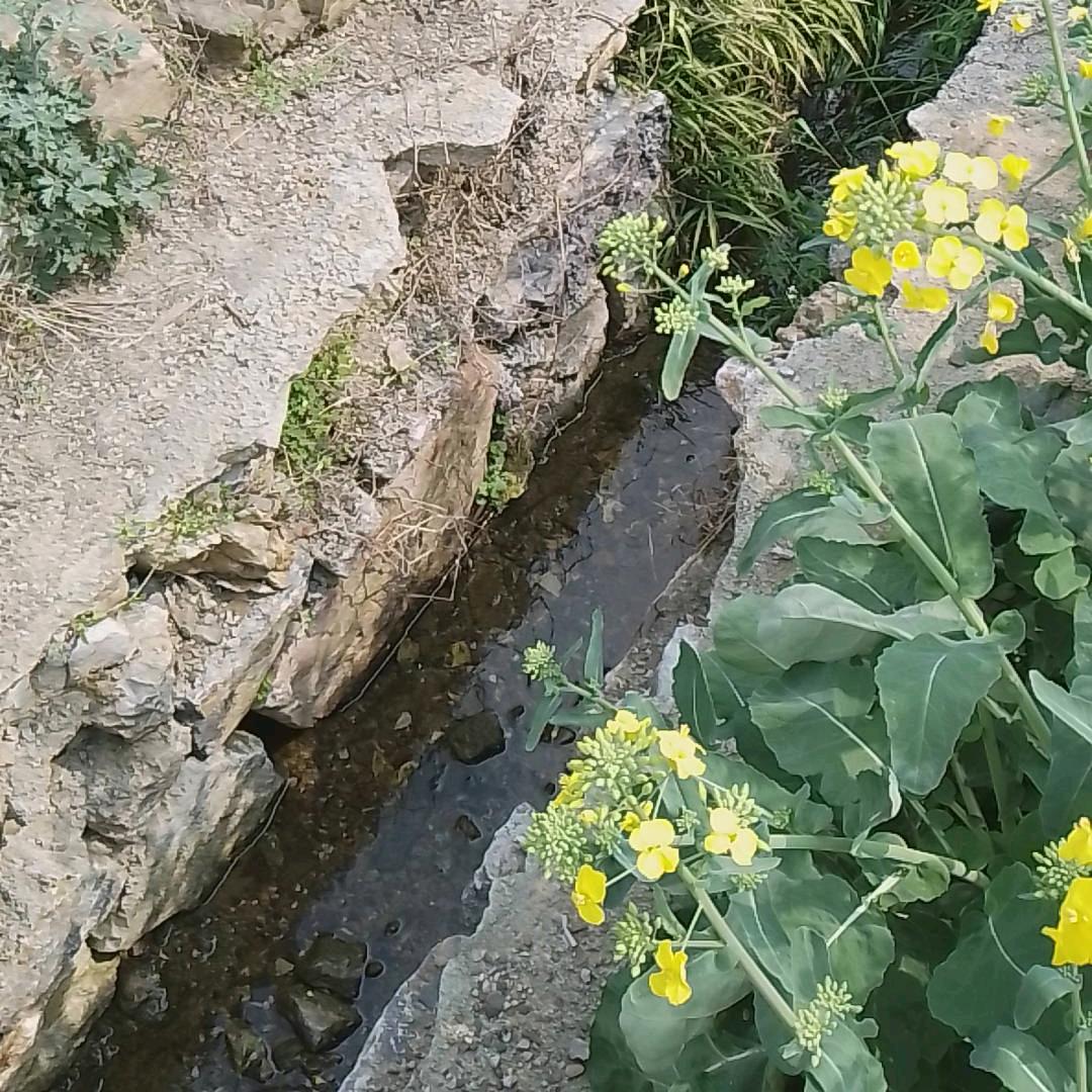 幸福之家