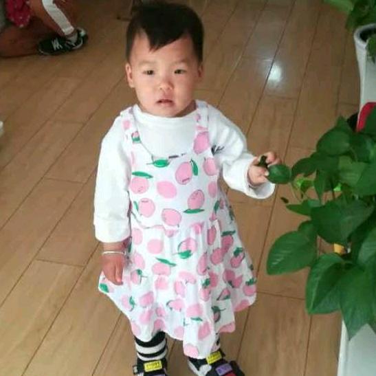陌上花开 蝴蝶自来