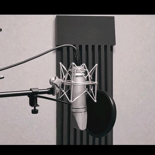 知音颂 音乐工作室（姚大果）