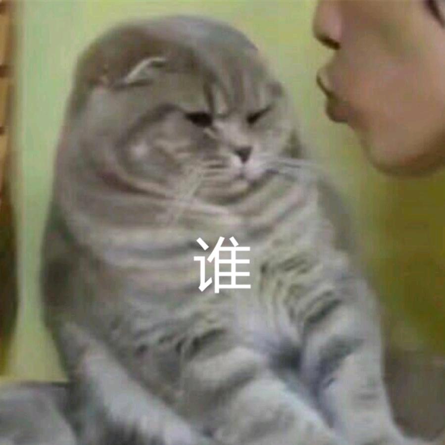 鼠拨土
