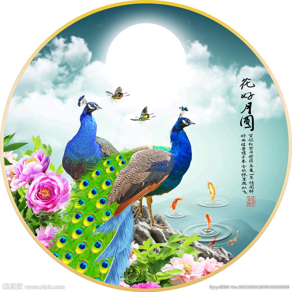 🦚孔 雀 一 🦚