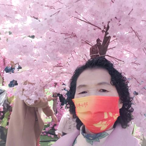 玉兰花