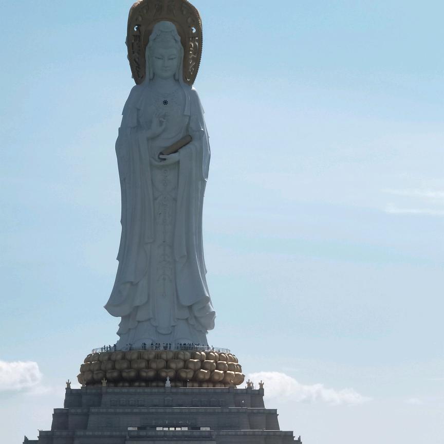 谢谢！