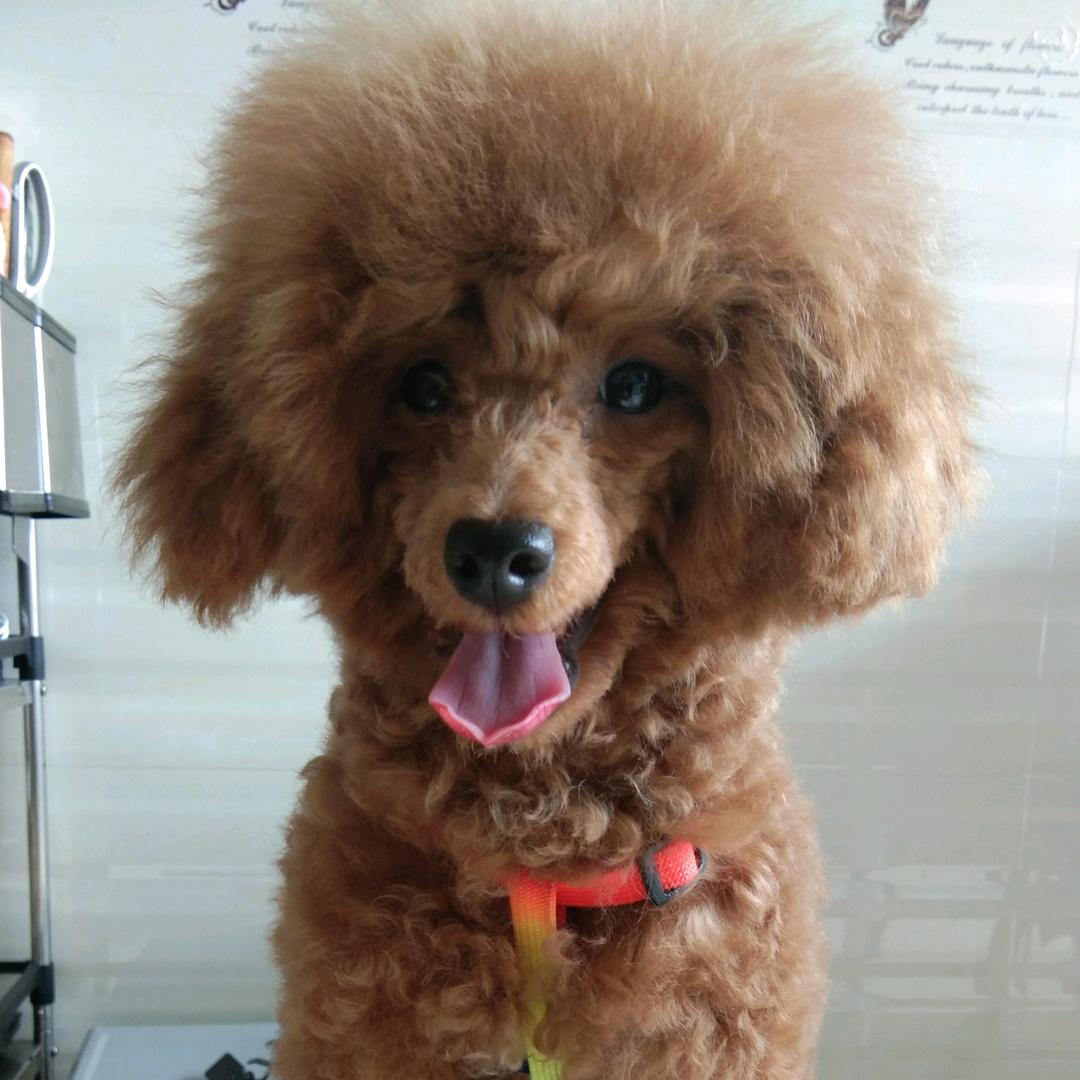 潇予