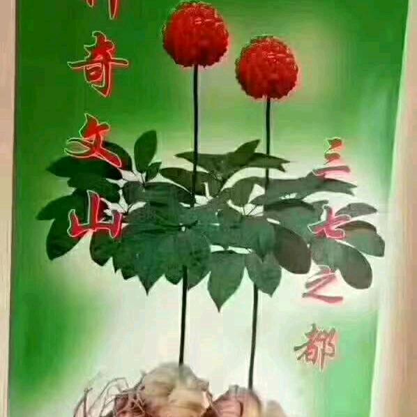 明小会