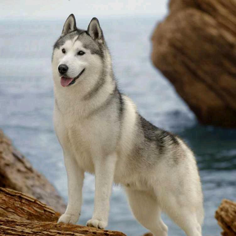 一缕阳光