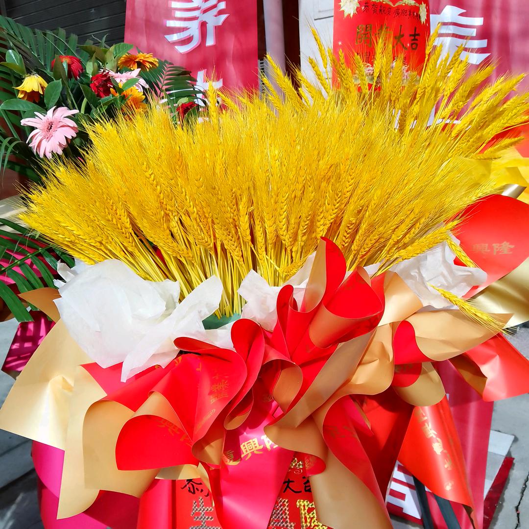 🥀ঞ姐就是限量版₅₂₀💞࿐