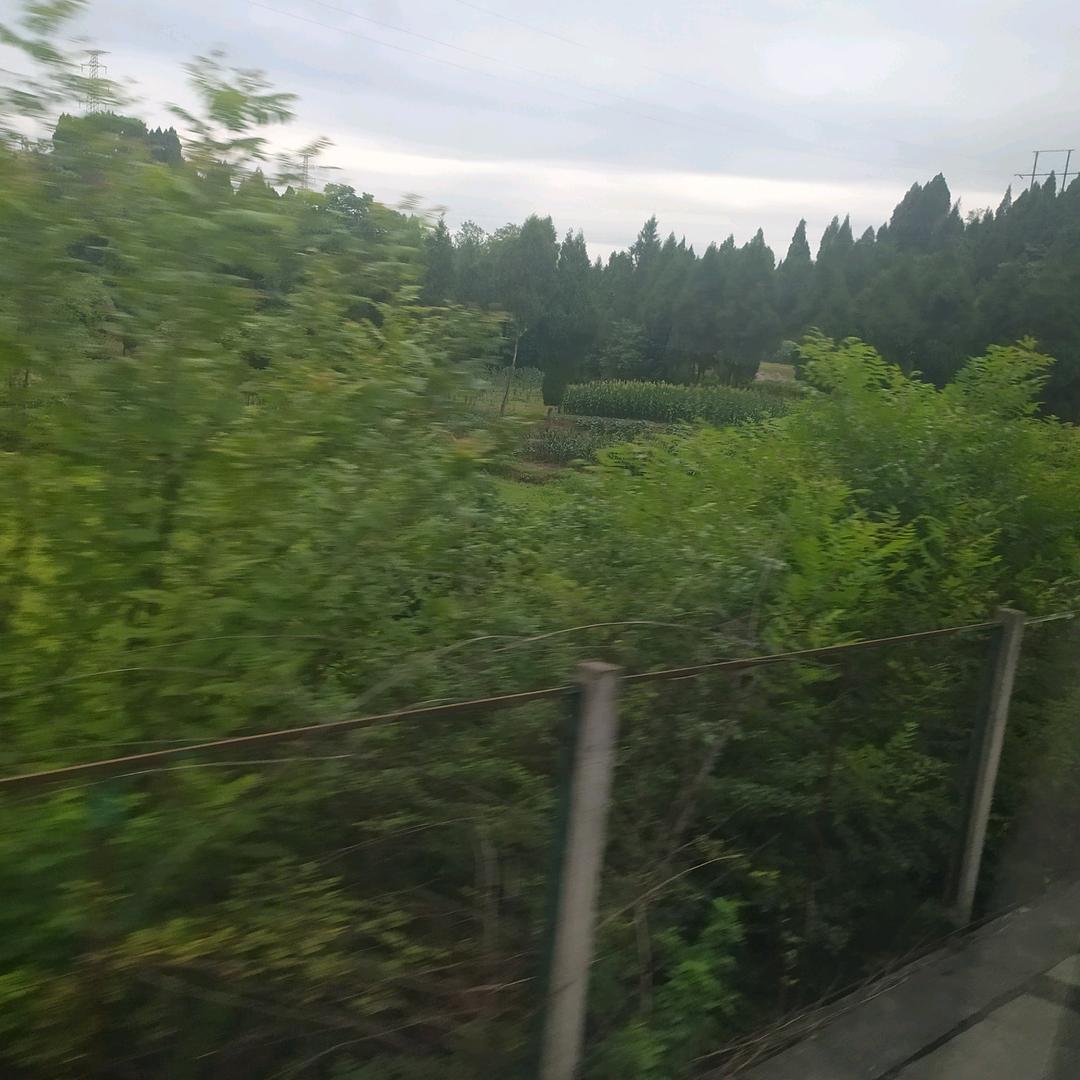 刚哥怎么不空军