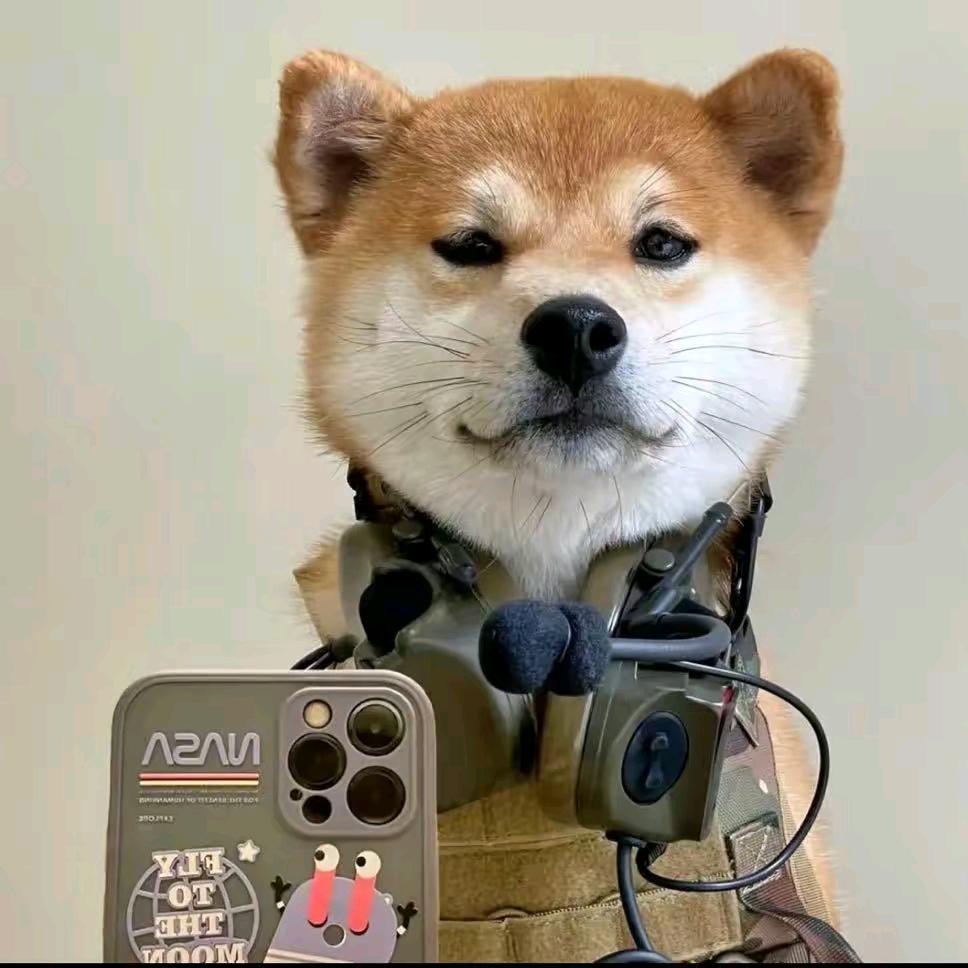 发弟_金铲铲之战（冠冕王）@抖音