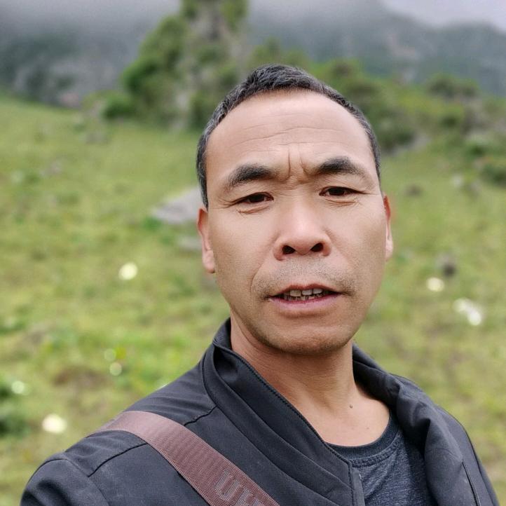 半年歌