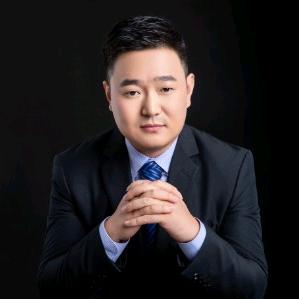 理想家高端美学家居