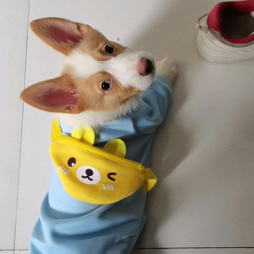 杨纯纯。