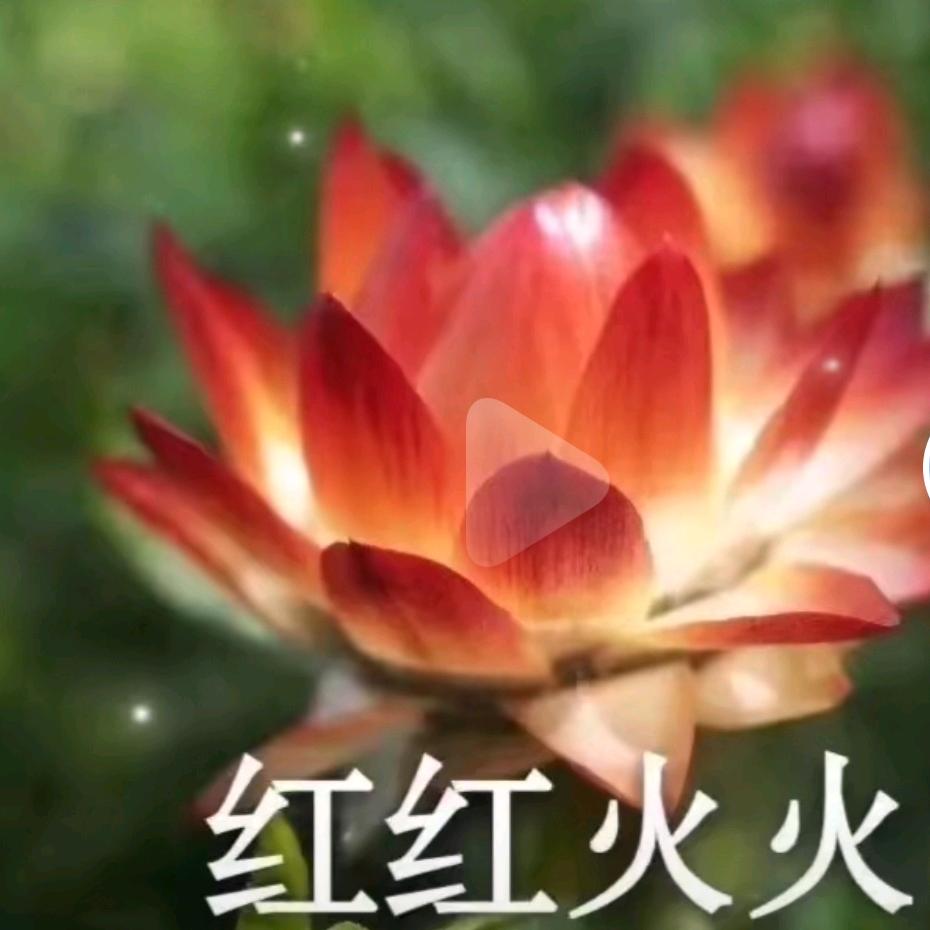 人生不过如此