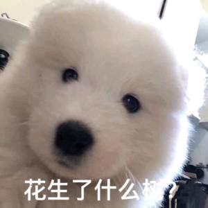 芊千