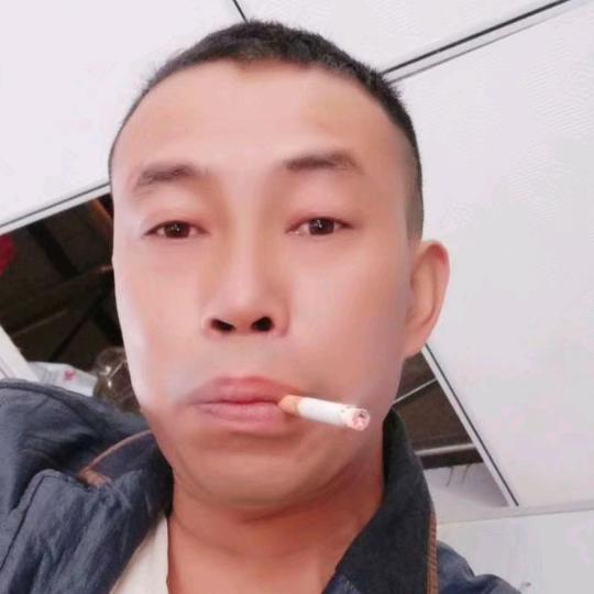 问世间情为何物