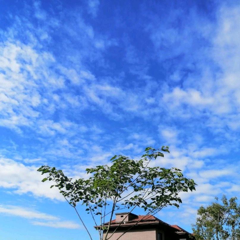 晴空万里