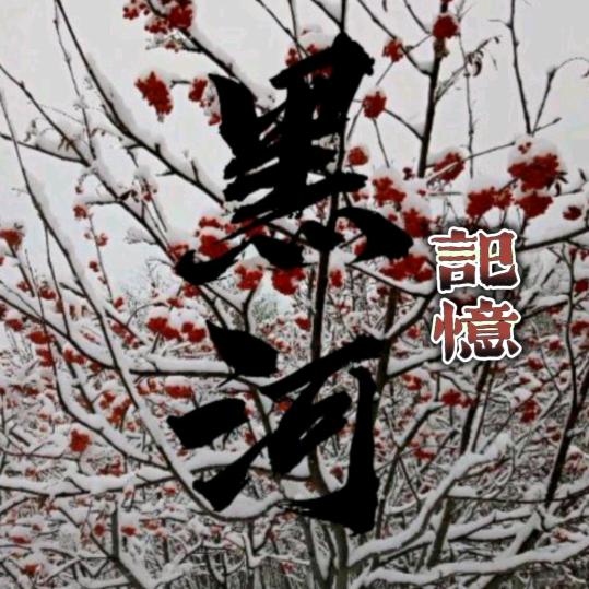 0456黑河记忆