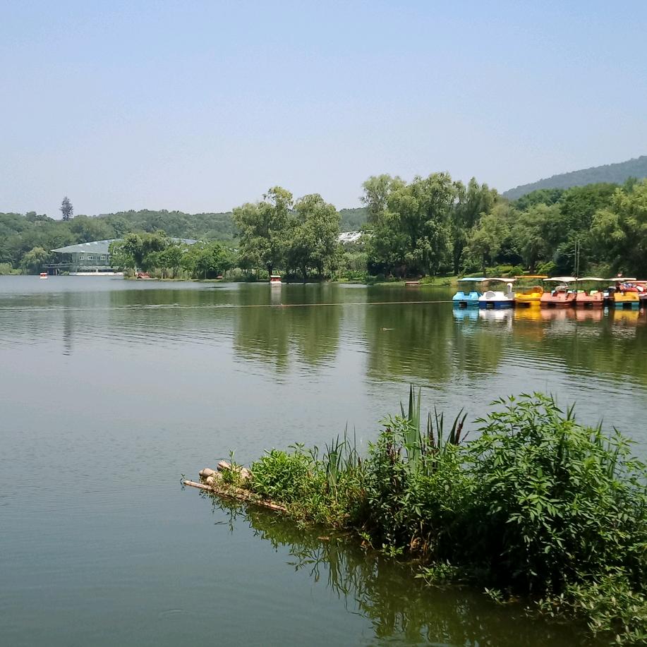 乡音(手机摄影）