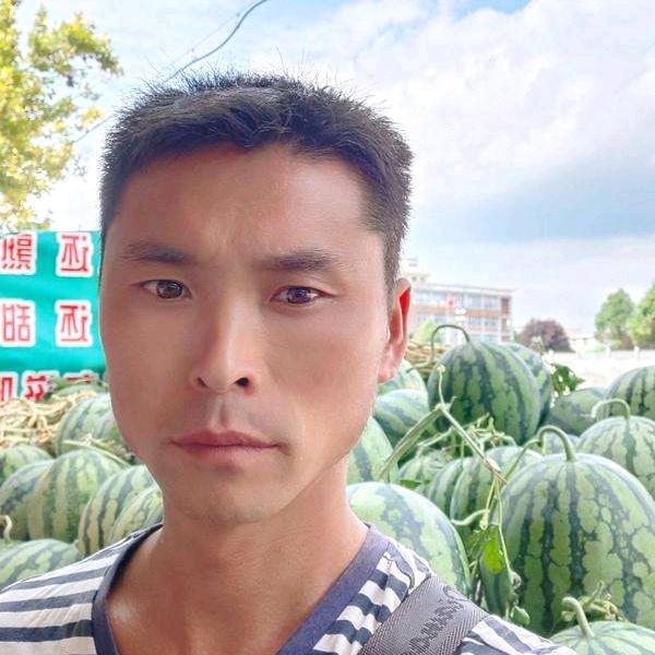 双阳西瓜哥🍉