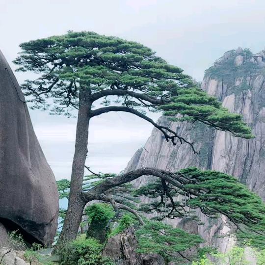 ༒ۣ峰༒ۣ
