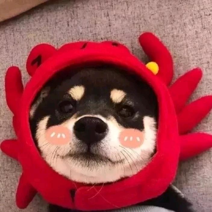 特兰克斯