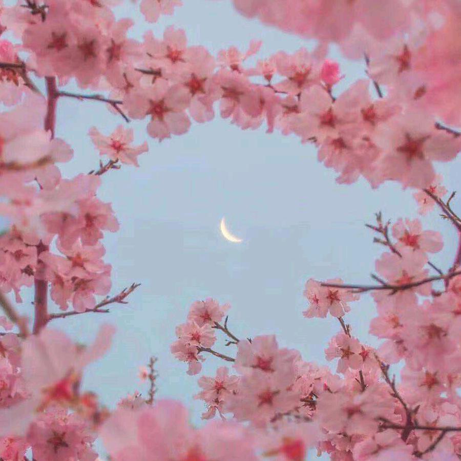 小宝肉店封雅茹