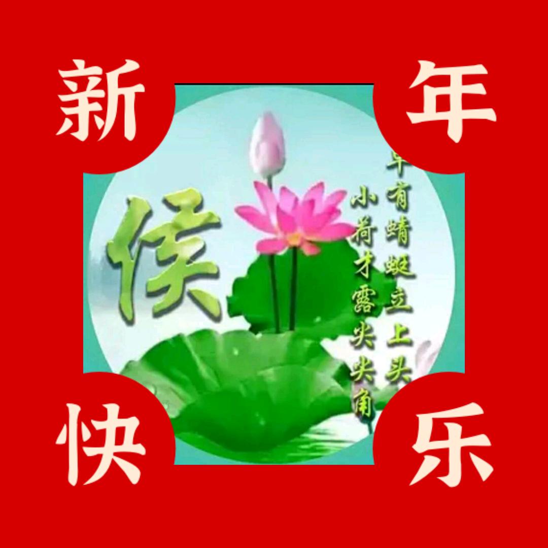 寒梅傲雪