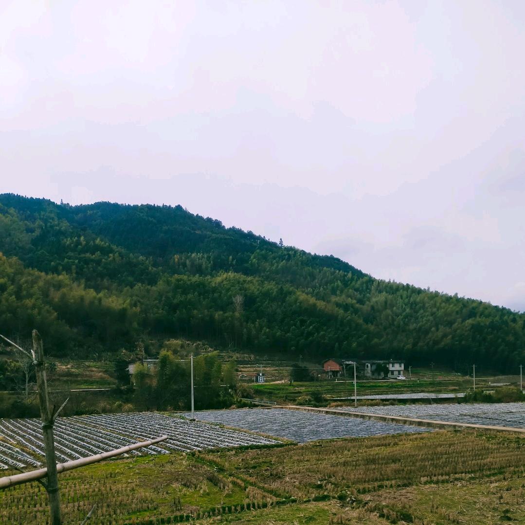 阿睿