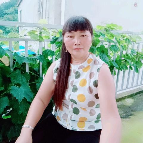 蝴蝶（购物进橱窗）