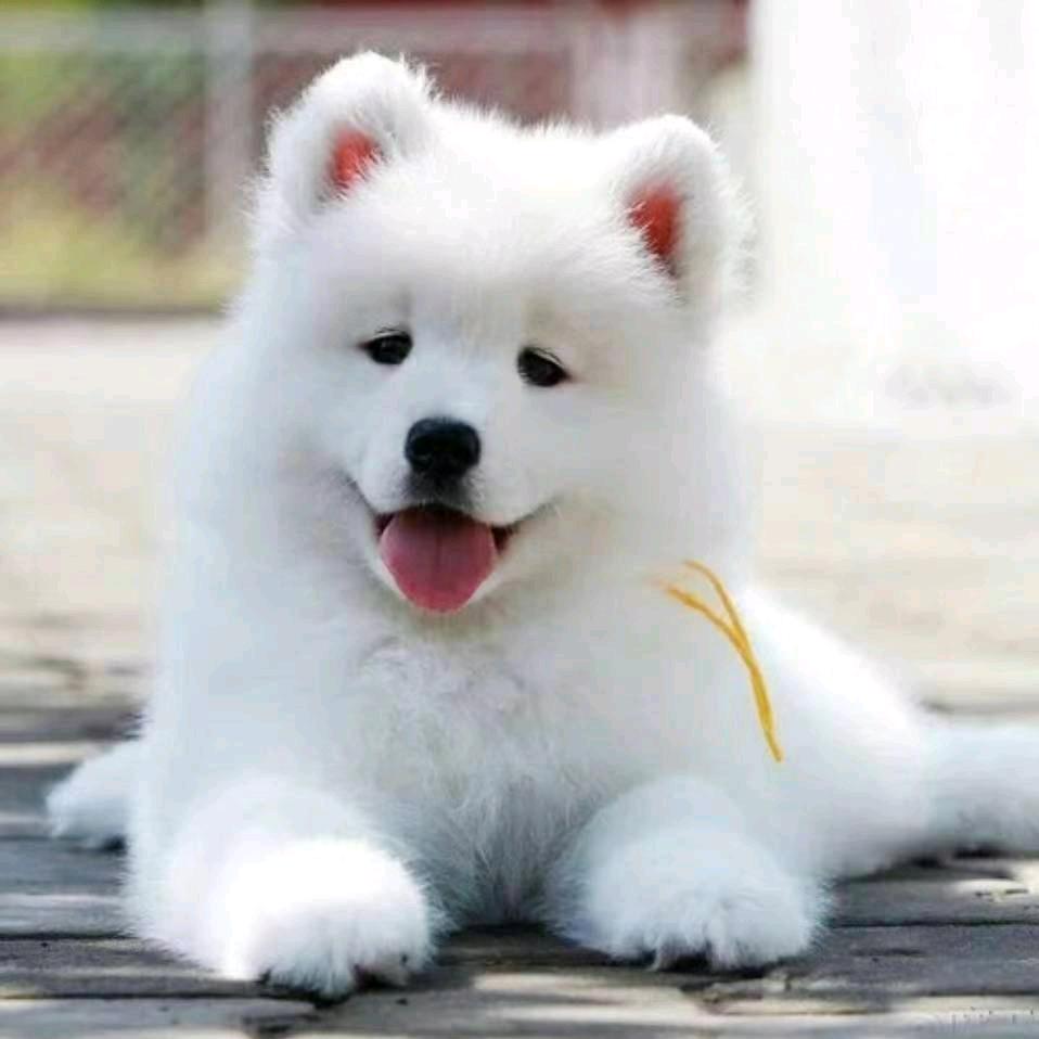 冬 冬 🍀