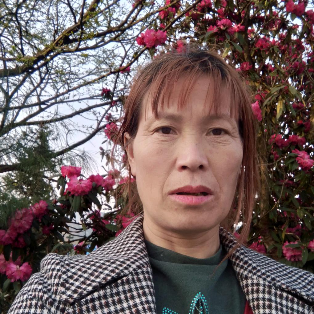 冬天的雪花