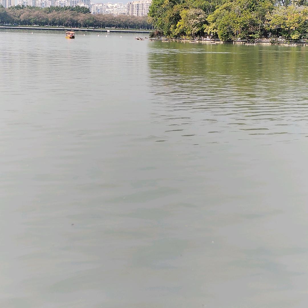 肥佬
