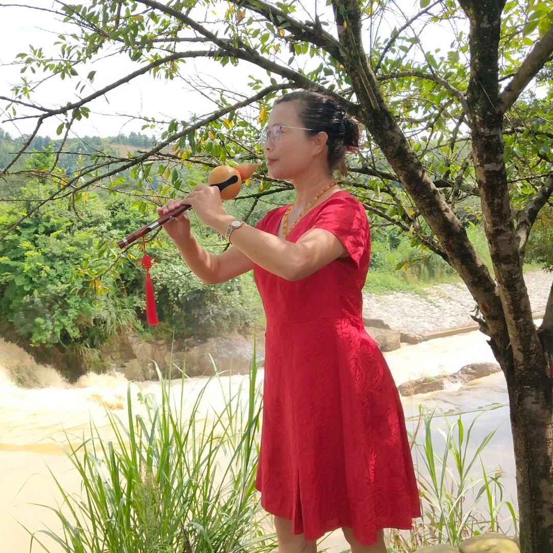 彩云归来