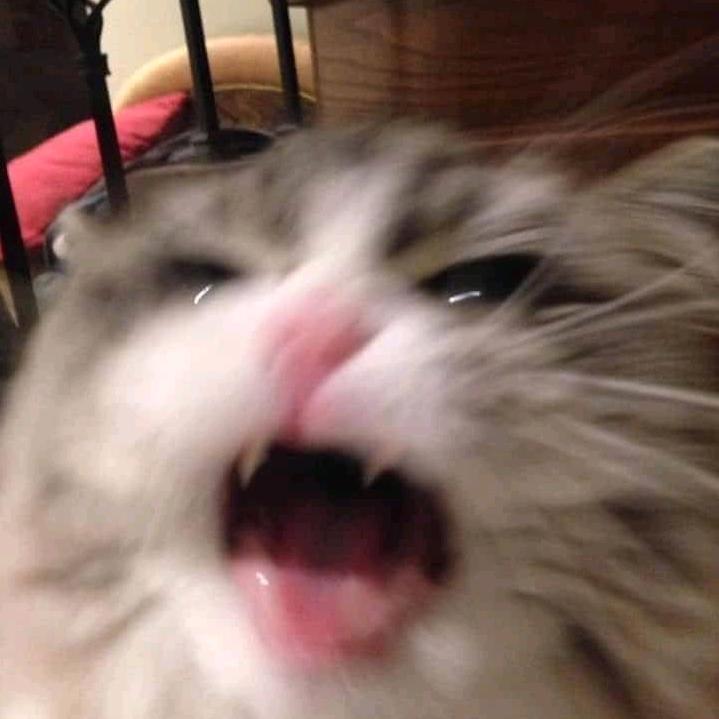 苍北