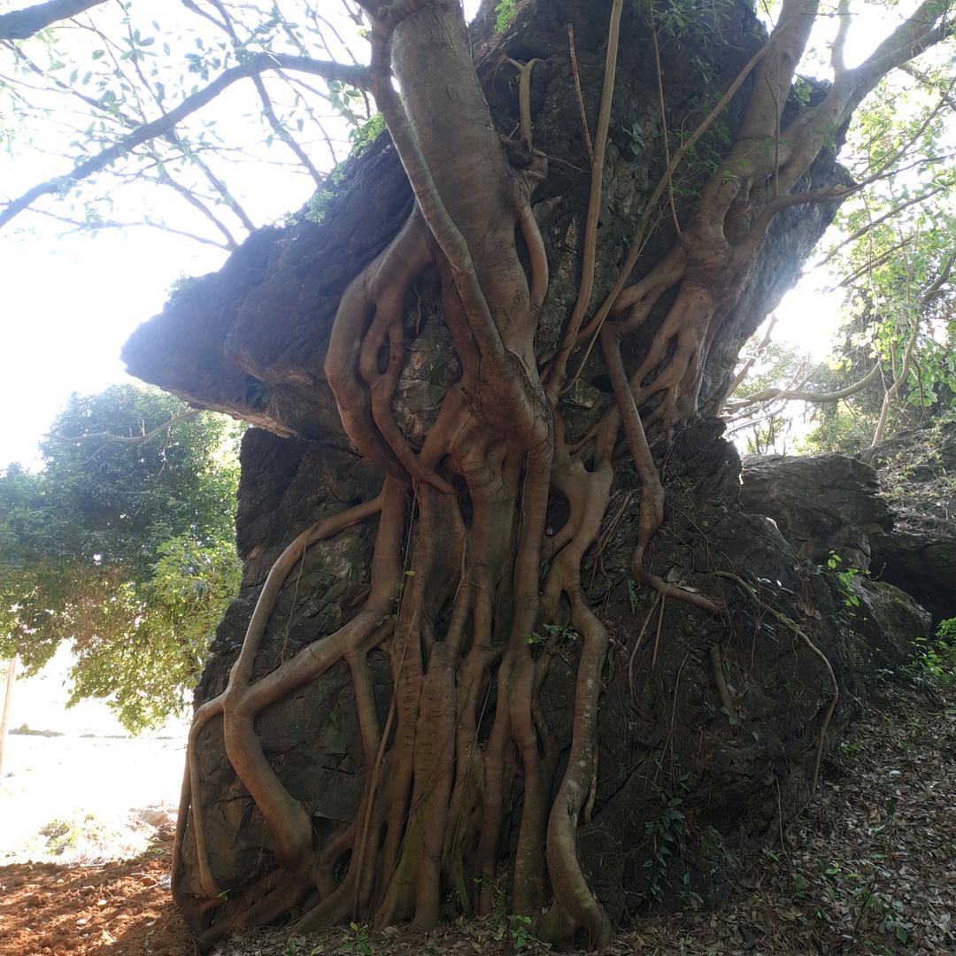 人生