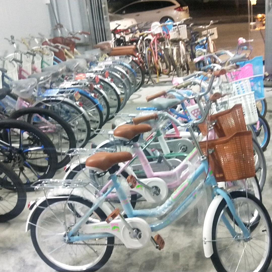 老羊自行车行