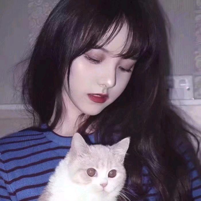 胖咩咩的懒猫~