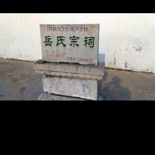 岳小莉