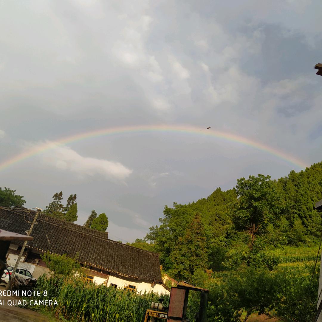 杜老师<房屋建筑工程>