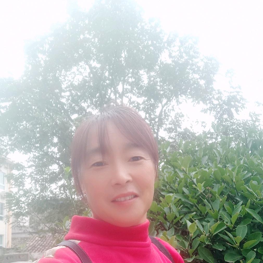 一路向阳