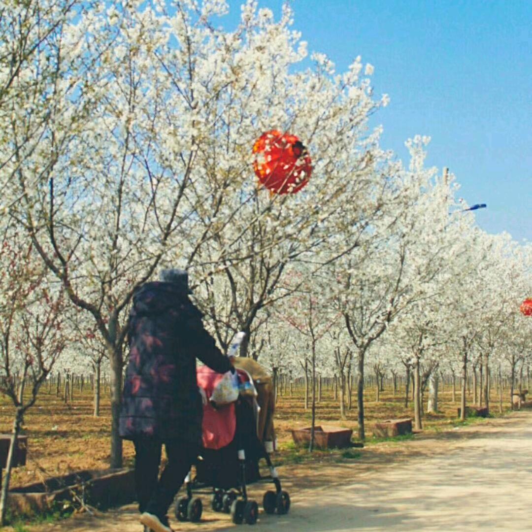 💖冰清玉洁