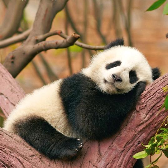 张家界科红广告服务有限公司