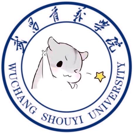 武昌首义学院校园墙